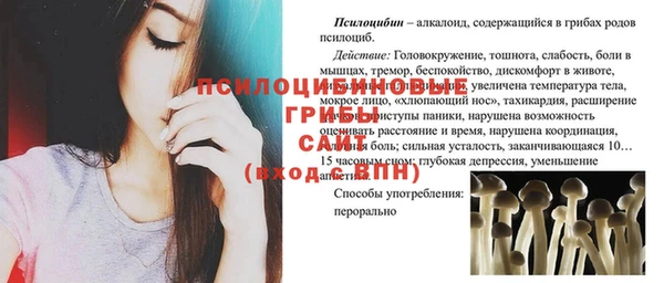 прущая мука Армянск